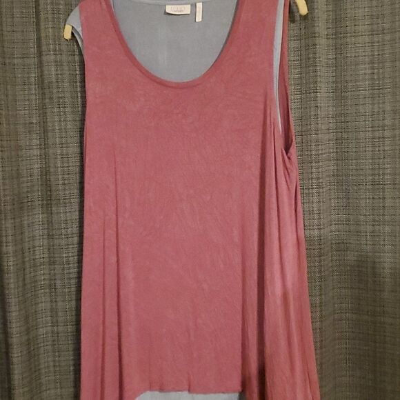 LogobLayers  by Lori Goldstein knitbtwin set with Mesh Trim L - Picture 4 of 6